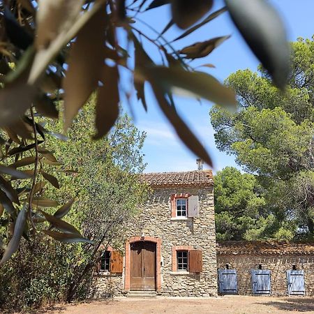Mazet Du Chateau Joyeux De Violet Pépieux Exteriér fotografie